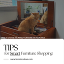 How to Choose the Perfect Furniture for Your Space: A Guide to Shopping for Your Furniture