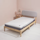 Delight Latex Mattress Sofzsleep