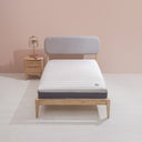 Delight Latex Mattress Sofzsleep