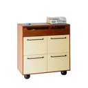 M1 4 DRAWERS CABINET (Limited Edition)