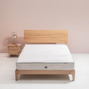 Trilogy Latex Mattress Sofzsleep