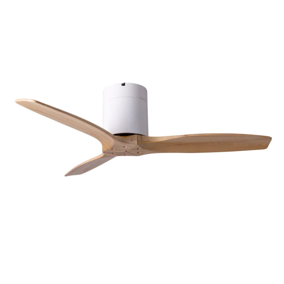 OAK SPIN ceiling fan Smart WiFi – Born in Colour